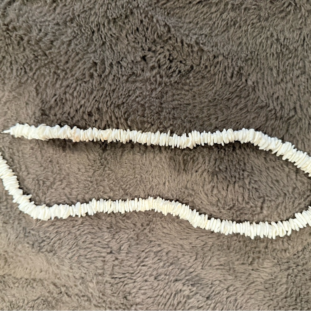 Shell Chip Necklace in Off-White